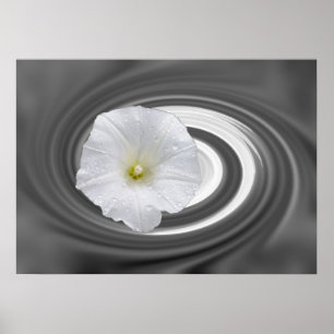 Affiche blanc et gris