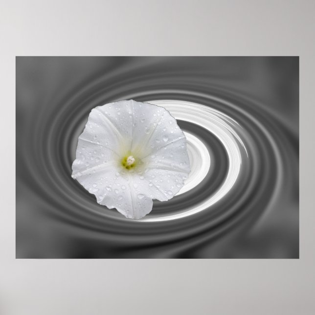 Affiche blanc et gris (Devant)