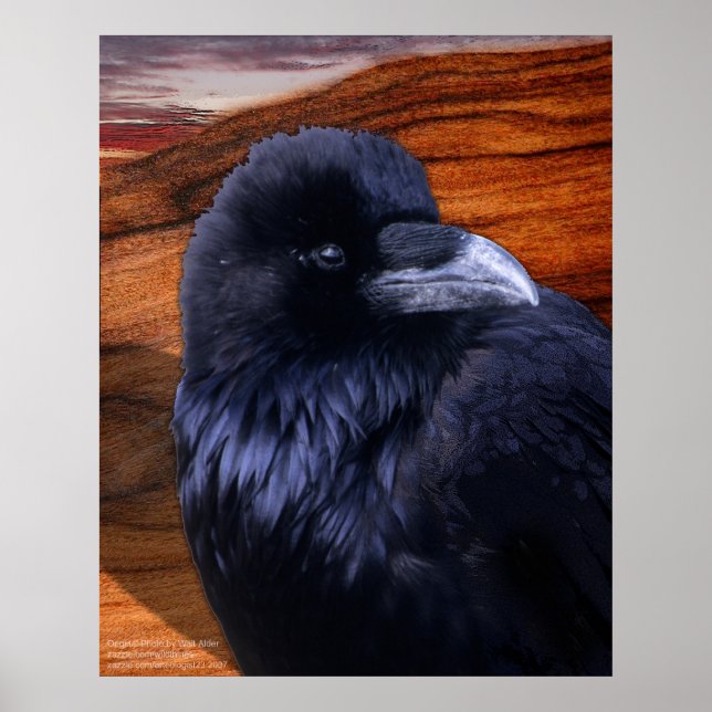 Affiche Blazen Raven (Devant)