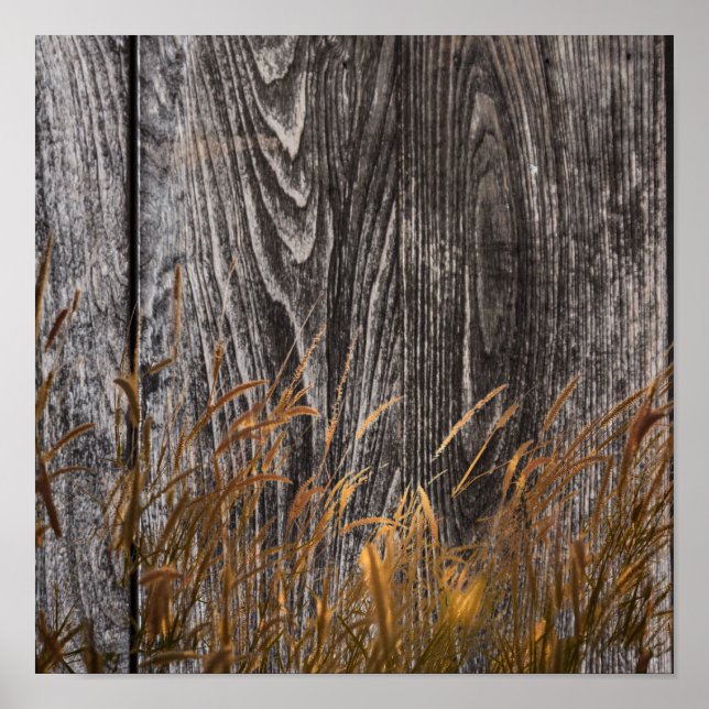 Affiche Blé des Prairies sur la Commission de la grange (Devant)