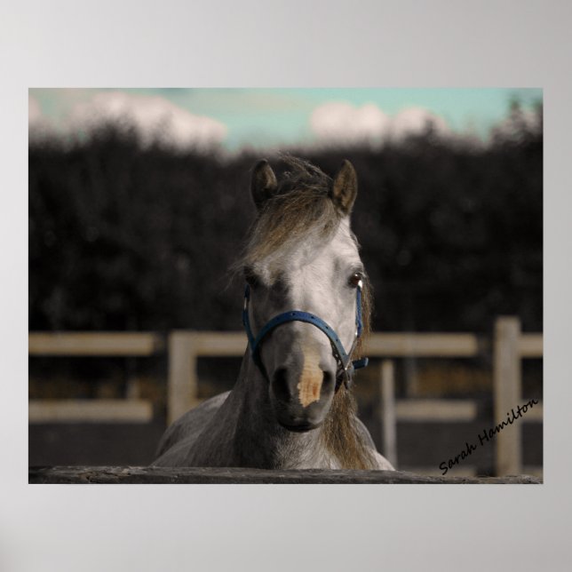 Affiche Bleu (Devant)