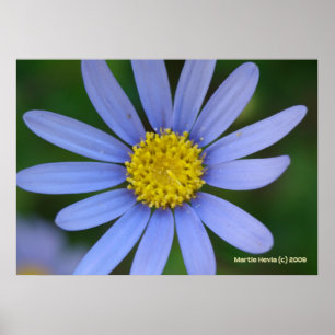 Affiche Bleu