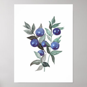 Affiche Bleu baies Fruit Aquarelle