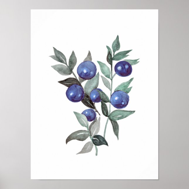 Affiche Bleu baies Fruit Aquarelle (Devant)