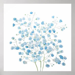 Affiche bleu clair Baby Breath Bouquet gypsophila