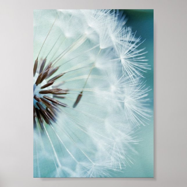 Affiche - Bleu Cool (Devant)