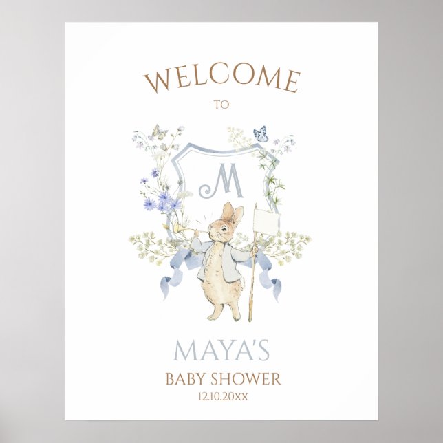 Affiche Bleu En vichy Peter le Baby shower Rabbit MUTED BL (Devant)