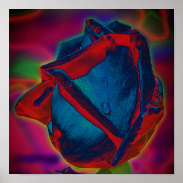 Affiche Bleu Et Rouge Rosebud Pluie Abstraite Florale (Devant)