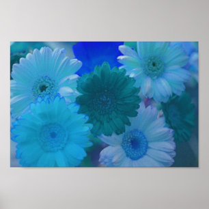 Affiche Bleu Gerbera Fleurs de marguerite Art Mur Imprimer