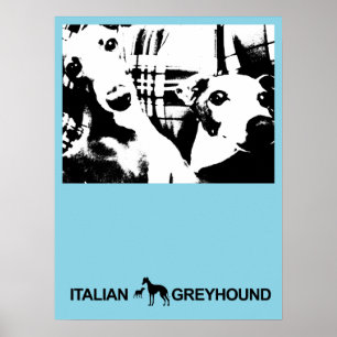 Affiche Bleu gris italien