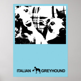 Affiche Bleu gris italien