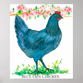 Affiche Bleu Hen Chicken State Bird of Delaware