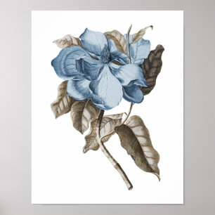 Affiche Bleu Magnolia Botanique Décor traditionnel