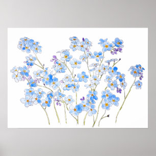 Affiche bleu oubliez moi pas encre et aquarelle 2023