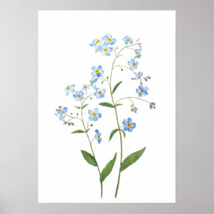 Affiche bleu oubliez moi pas fleurs 2021 aquarelle