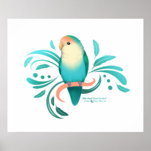 Affiche Bleu Pêche face Lovebird