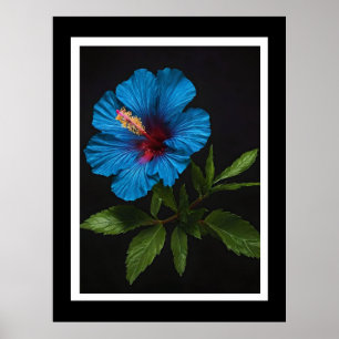 Affiche "Bleu rayonnant : Hibiscus Flower Against On Black