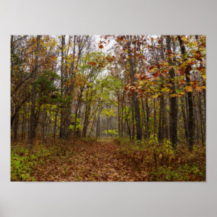 Affiche Bliss d'automne
