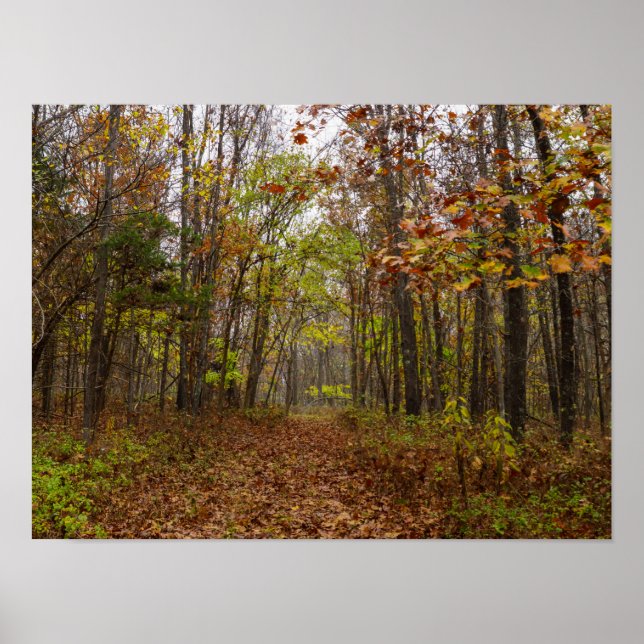 Affiche Bliss d'automne (Devant)