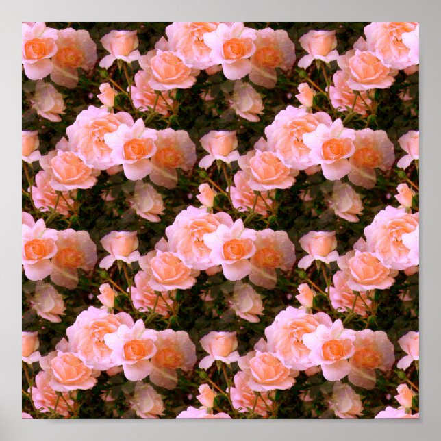 Affiche Bliss of Spring.... (Devant)