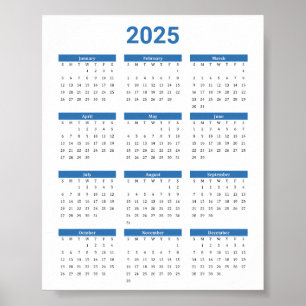 Affiche Bliue et Blanc 2025 Année à un coup d'oeil Calendr