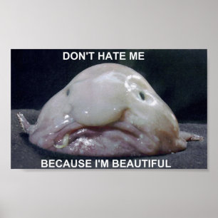Affiche blobfish1