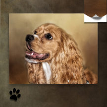 Blonde Cocker Spaniel