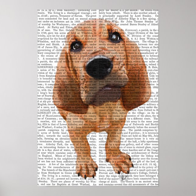Affiche Bloodhound Puppy (Devant)