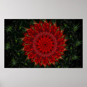 Affiche Bloom du désert