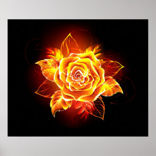 Affiche Blooming Fire Rose