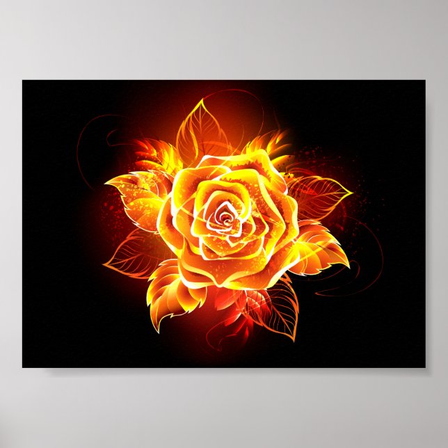Affiche Blooming Fire Rose (Devant)