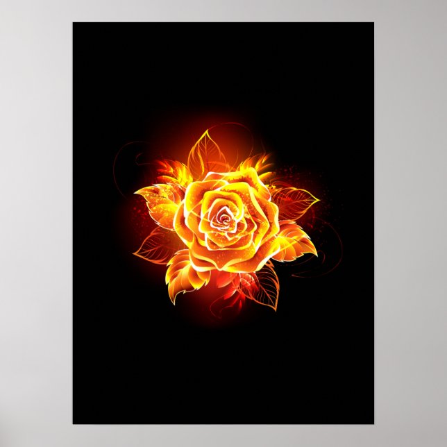 Affiche Blooming Fire Rose (Devant)