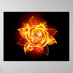 Affiche Blooming Fire Rose