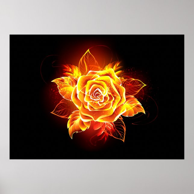 Affiche Blooming Fire Rose (Devant)