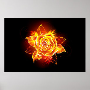 Affiche Blooming Fire Rose