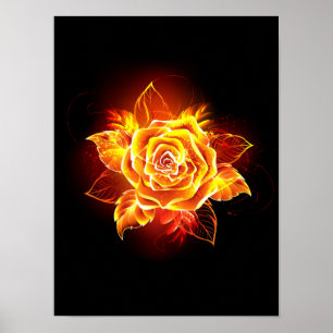 Affiche Blooming Fire Rose