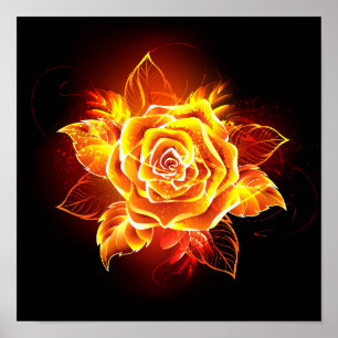 Affiche Blooming Fire Rose