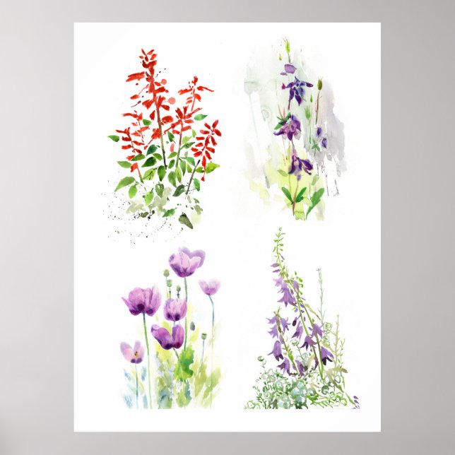 Affiche Blooming Garden Quartet  Four Botanical Watercolor (Devant)