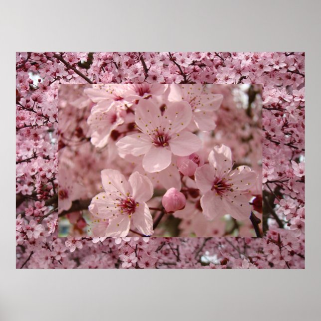 Affiche Blossom Art rose Printemps Arbre Blossoms Impriman (Devant)