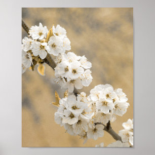Affiche Blossom Symphony Natures Ouverture