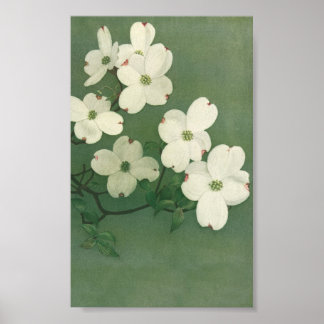 Affiche Blossom vintage