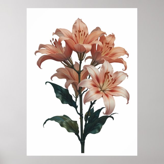 Affiche Blossoming Lilies in Harmonious Elegance (Devant)