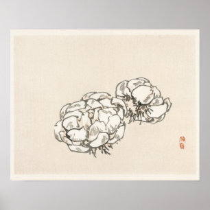 Affiche Blossoms de Kōno Bairei (1844-1895)