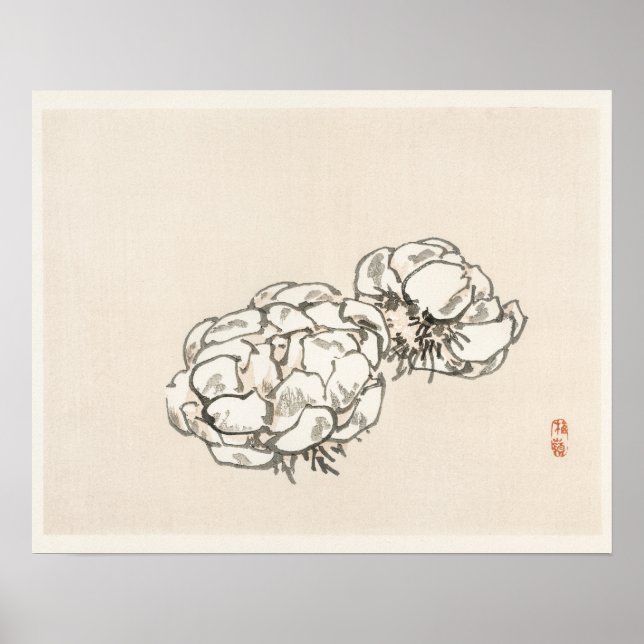 Affiche Blossoms de Kōno Bairei (1844-1895) (Devant)