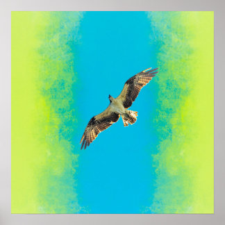 Affiche Blue and yellow