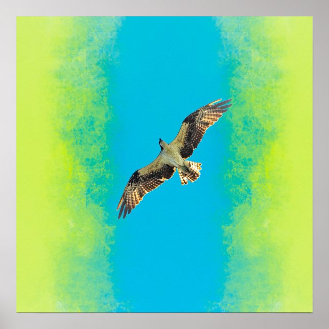 Affiche Blue and yellow (Devant)