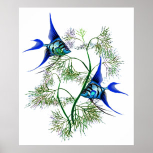 Affiche Blue Angelfish in Plants