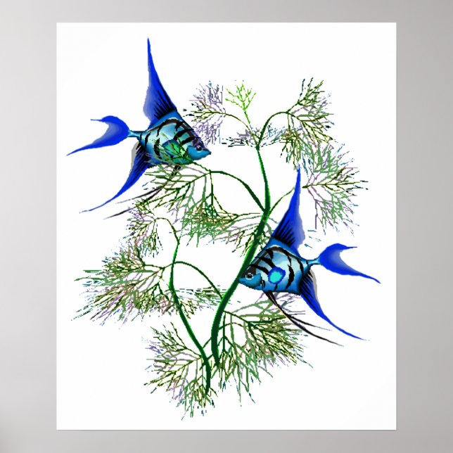 Affiche Blue Angelfish in Plants (Devant)