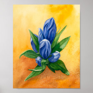 Affiche "Blue Bloom" de Ramedious - Aquarelle Art Floral