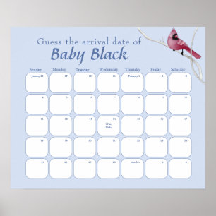 Affiche Blue Cardinal Bird Baby shower Devinez La Date D'É